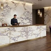 Calacatta Viola Extra | Natural Stone gallery detail image