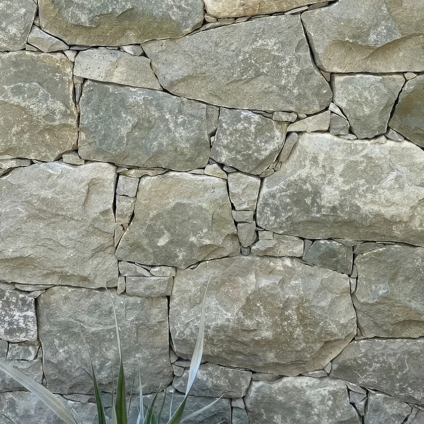 Aria Sage gallery detail image