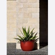 Devonstone® Brick gallery detail image