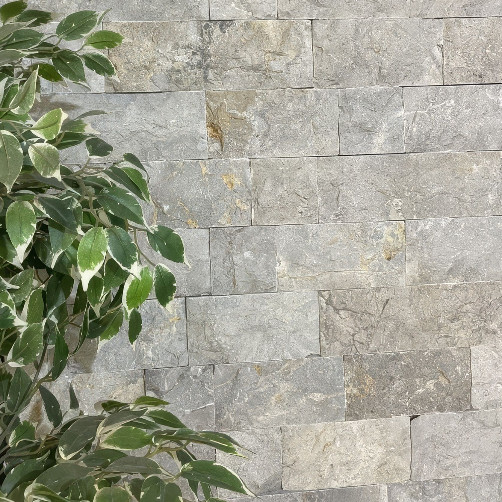 Pacific Grey | Cladding - Loose gallery detail image