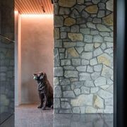 Te Kuiti Two-tone Limestone Cladding gallery detail image