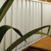 Trimclad Colorbond® Fencing gallery detail image