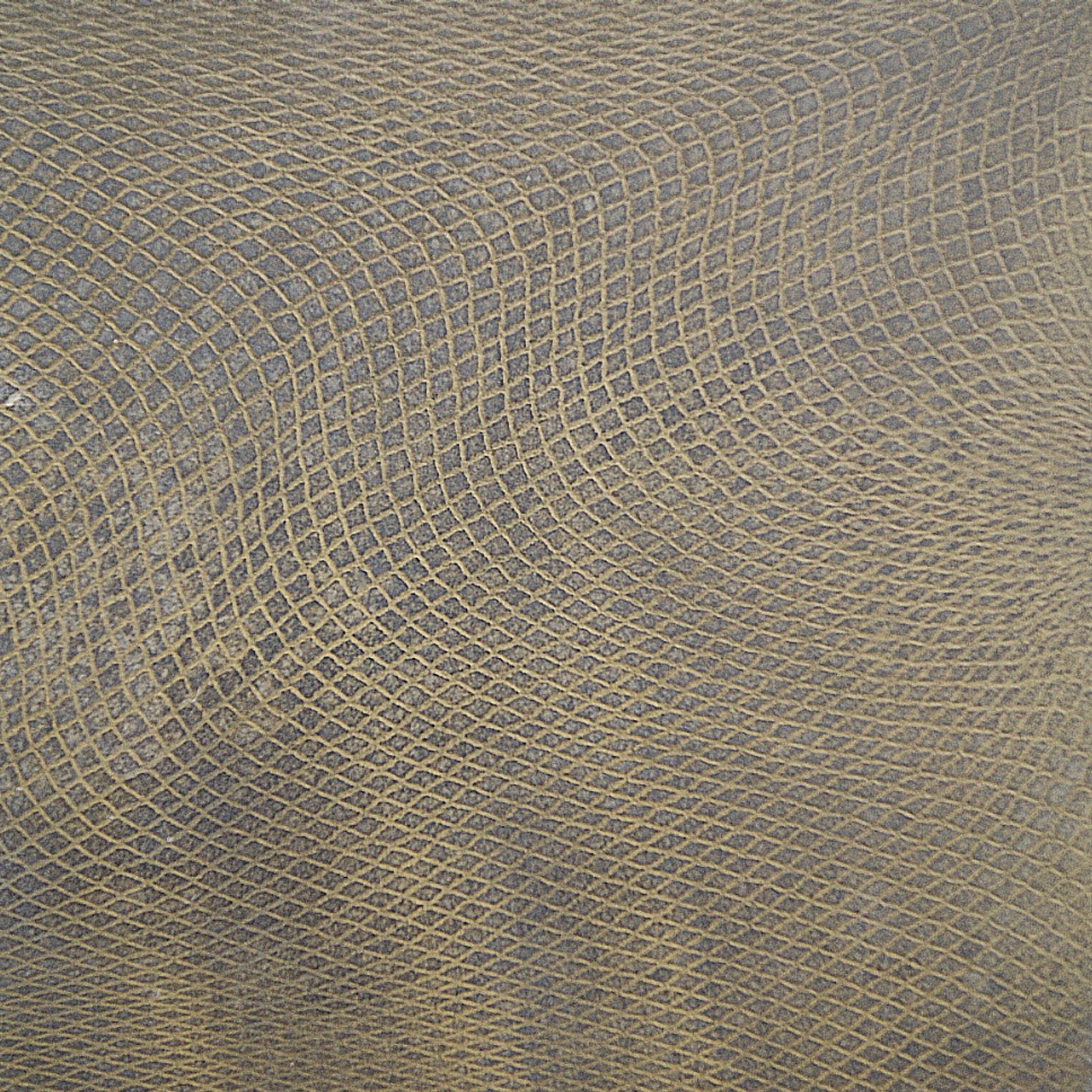Aged Brass Reptile | Liquid Metal Finish gallery detail image