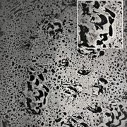 Aluminium Hammerstone | Liquid Metal Finish gallery detail image