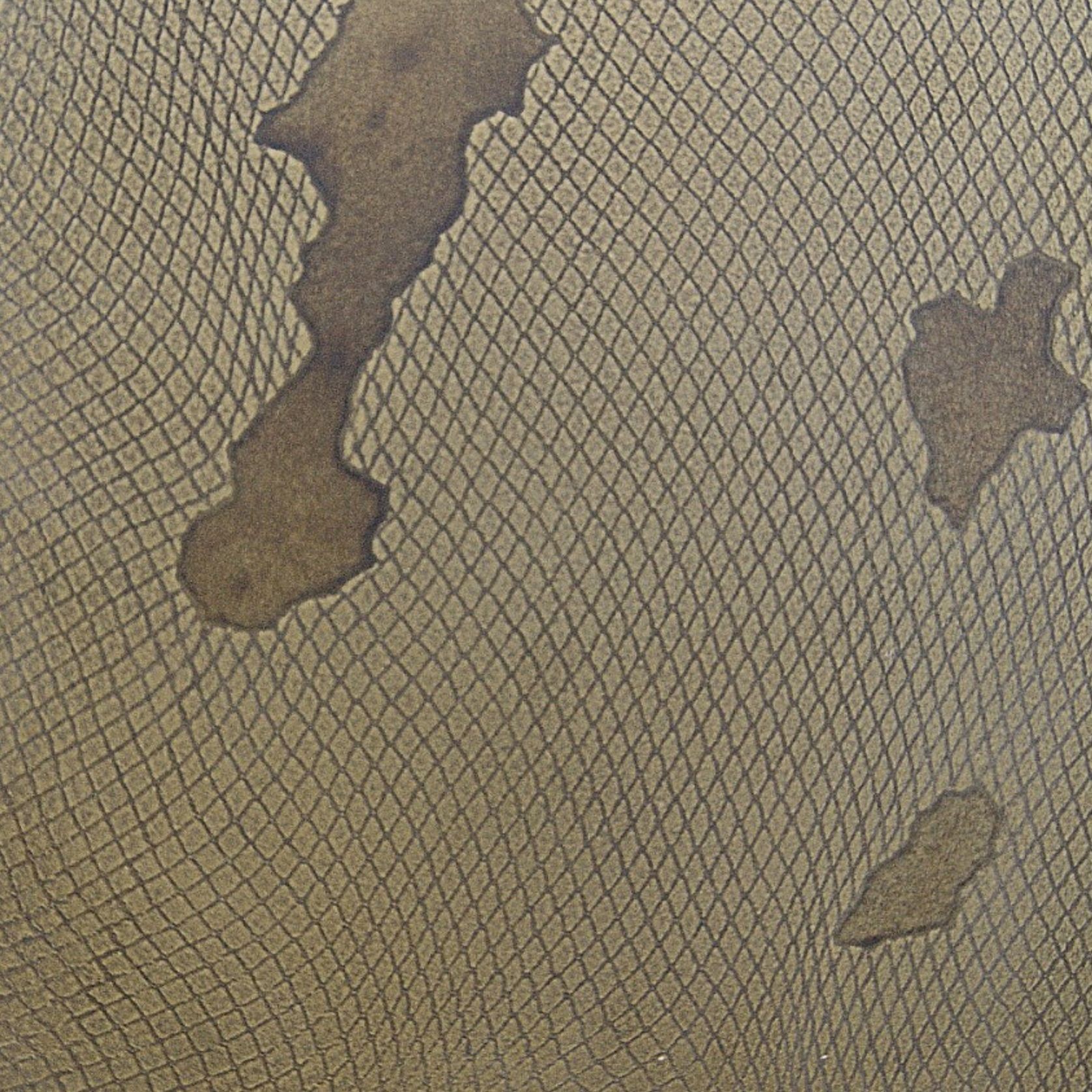 Brass Reptile Patina | Liquid Metal Finish gallery detail image