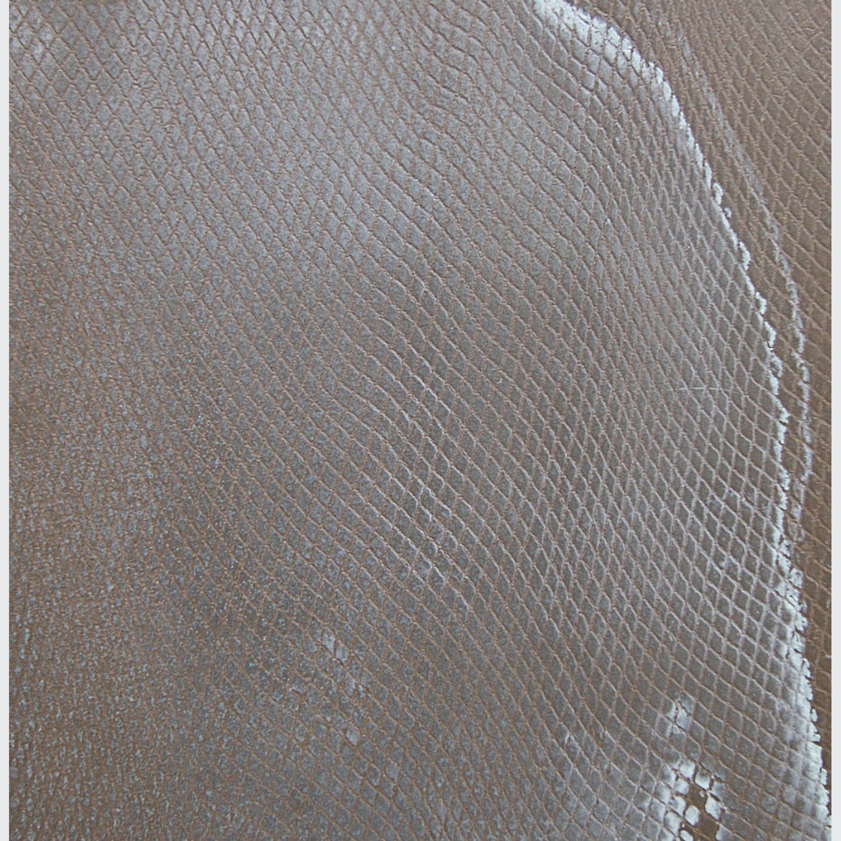 Bronze Reptile | Liquid Metal Finish gallery detail image