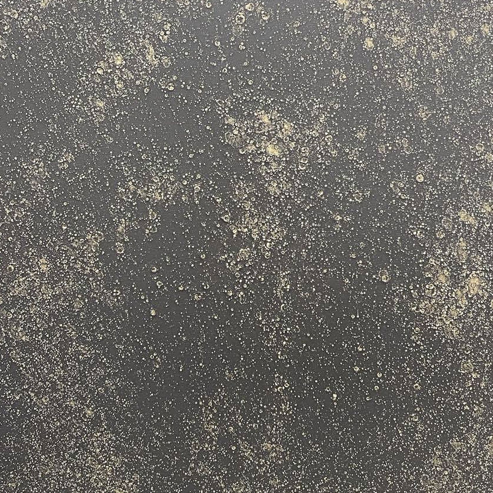 Graphite Gold Coarse | Liquid Metal Finish gallery detail image