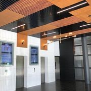 Austratus Timber Look Aluminum Cladding gallery detail image