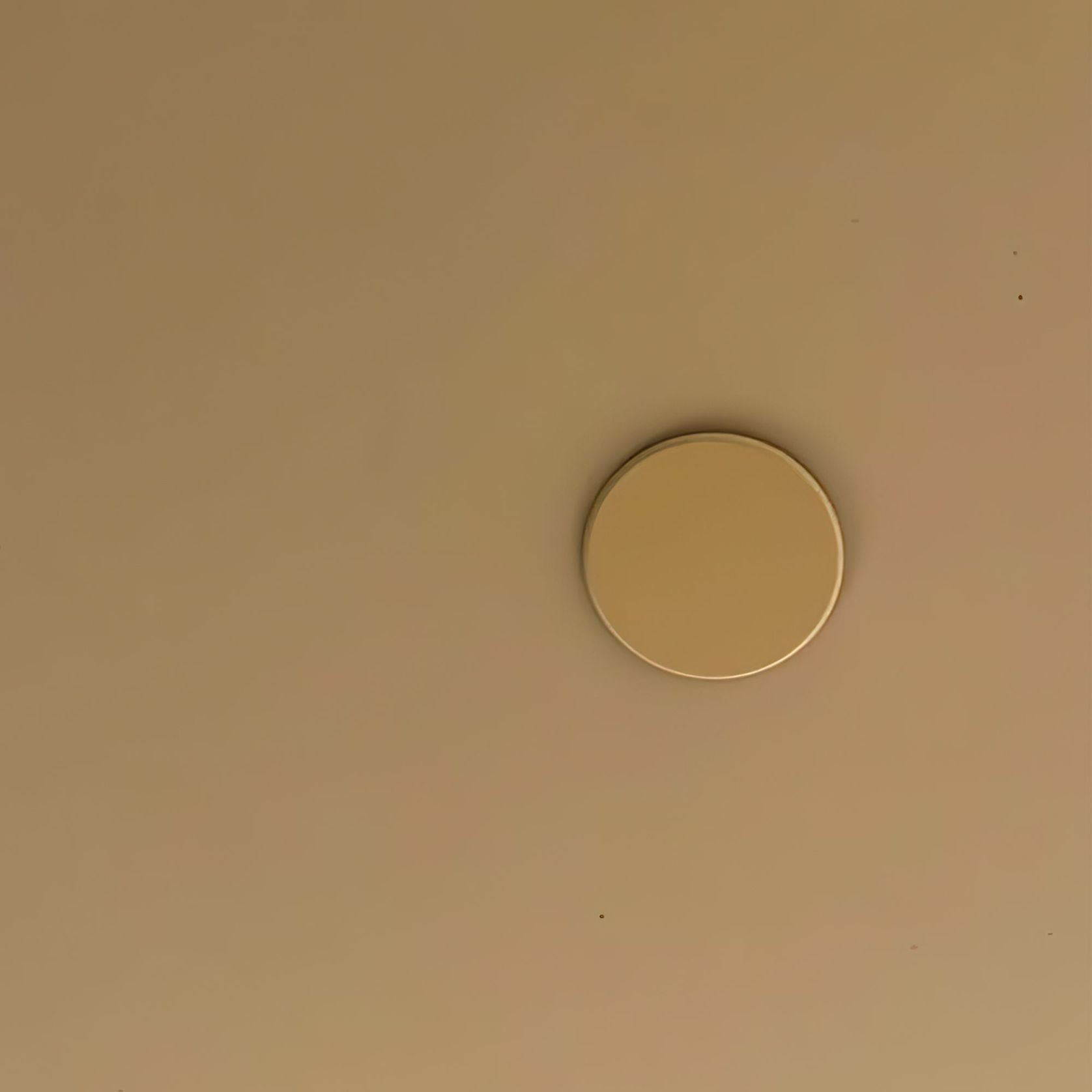 Sprinkler Cover Plate | Colour Matched gallery detail image