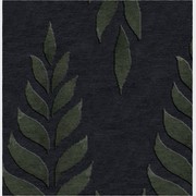 Dark Ferns gallery detail image