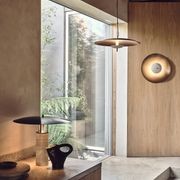 Luna Pendant Light gallery detail image