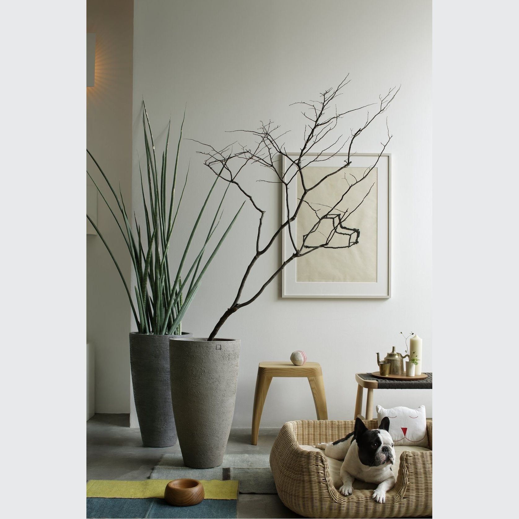 AH gallery detail image