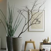 AH gallery detail image