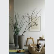 AH gallery detail image