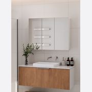 Pavia 1000 Mirror Cabinet gallery detail image