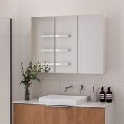 Luxe 900mm Mirror Cabinet | 3 Door gallery detail image