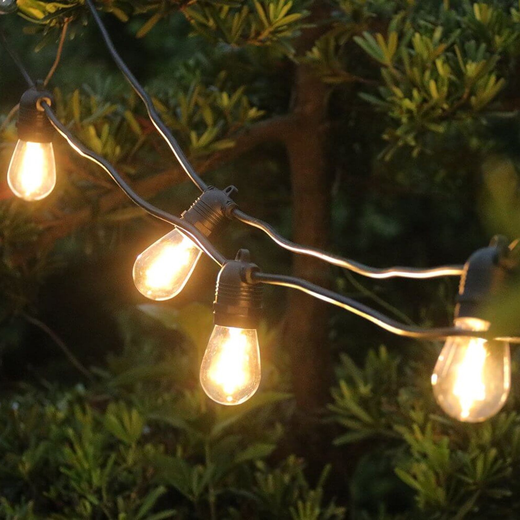 Outdoor Led Festoon String Lights - 10m Warm White - S14 Bulbs gallery detail image