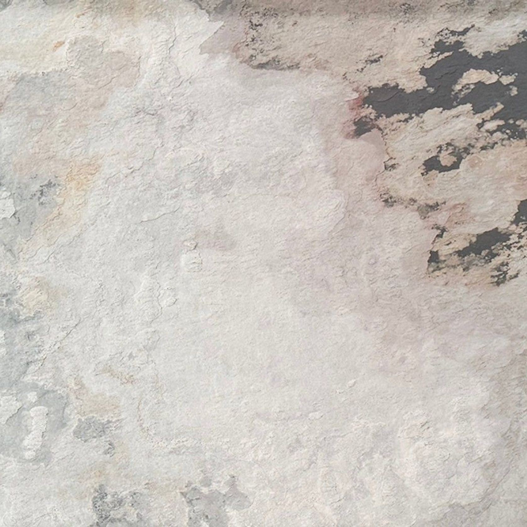 F124 gallery detail image