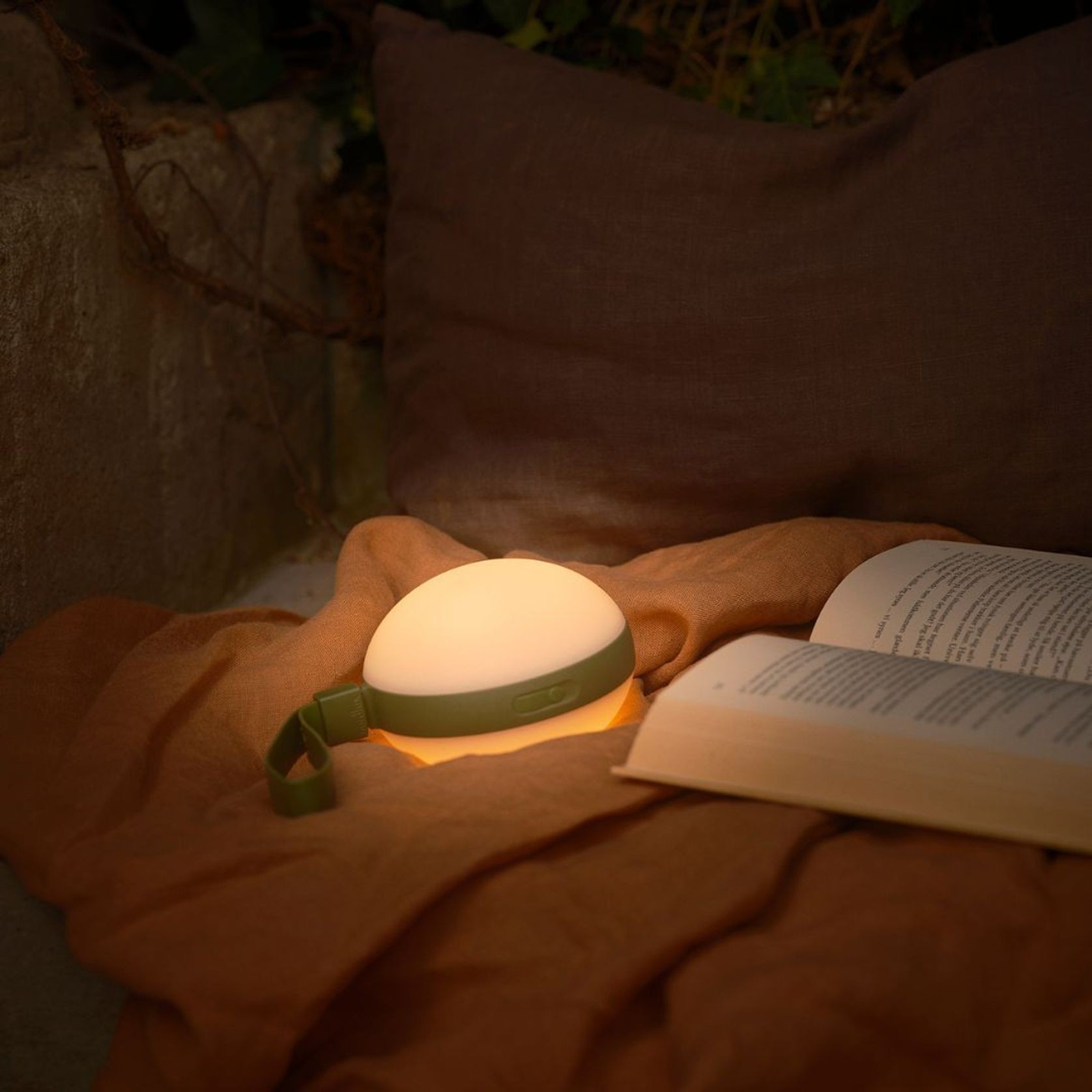 Bring-To-Go gallery detail image