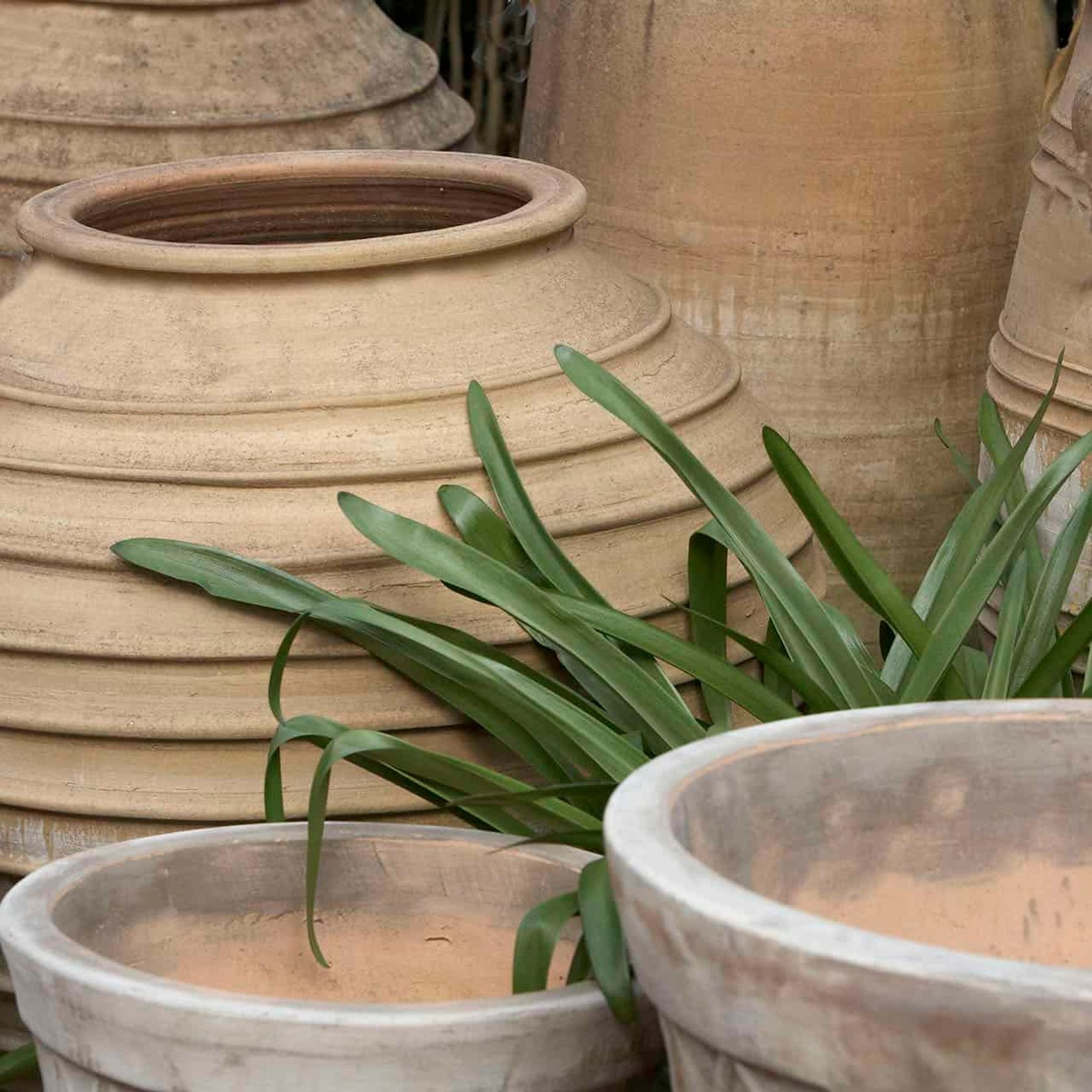 Crete - Pithari Planter gallery detail image