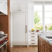 Designer Series All Refrigerator-Column 91cm gallery detail image