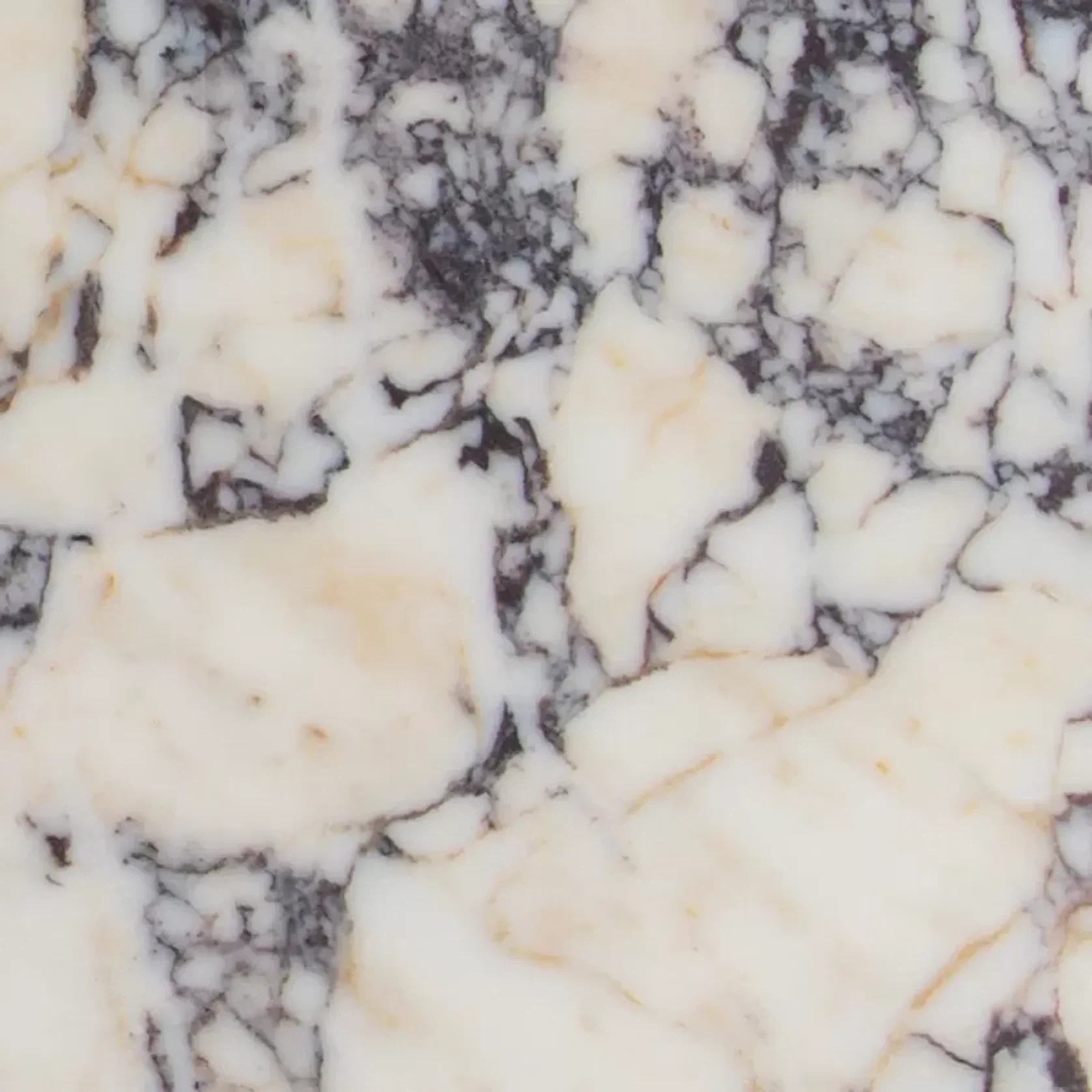 Calcatta Viola | Marble Collection gallery detail image