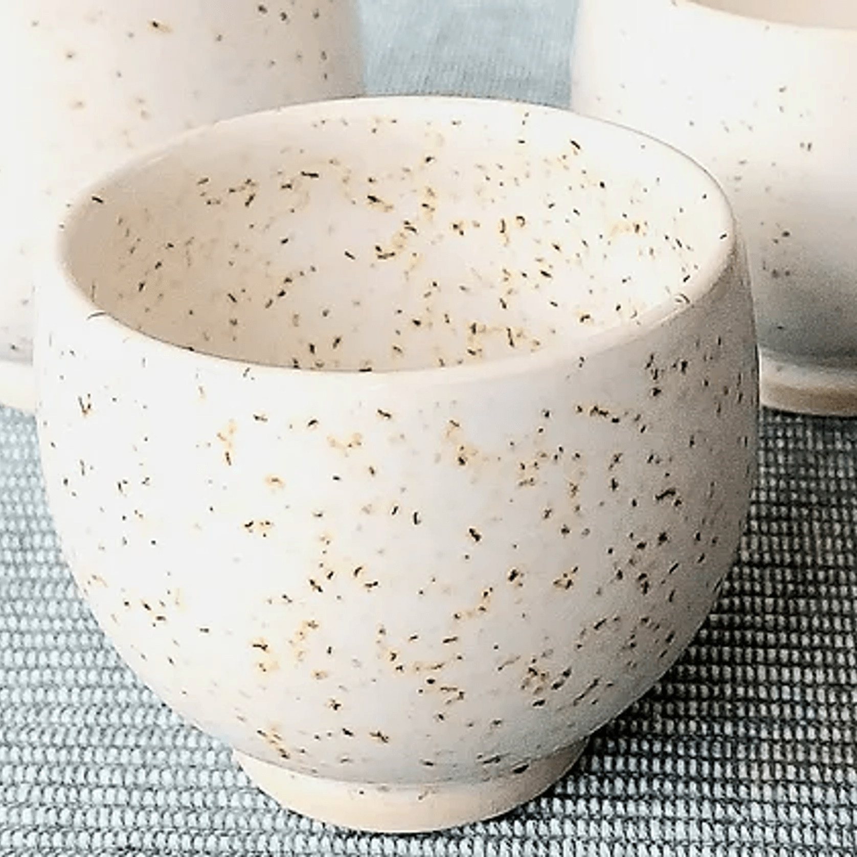 Sake cups gallery detail image