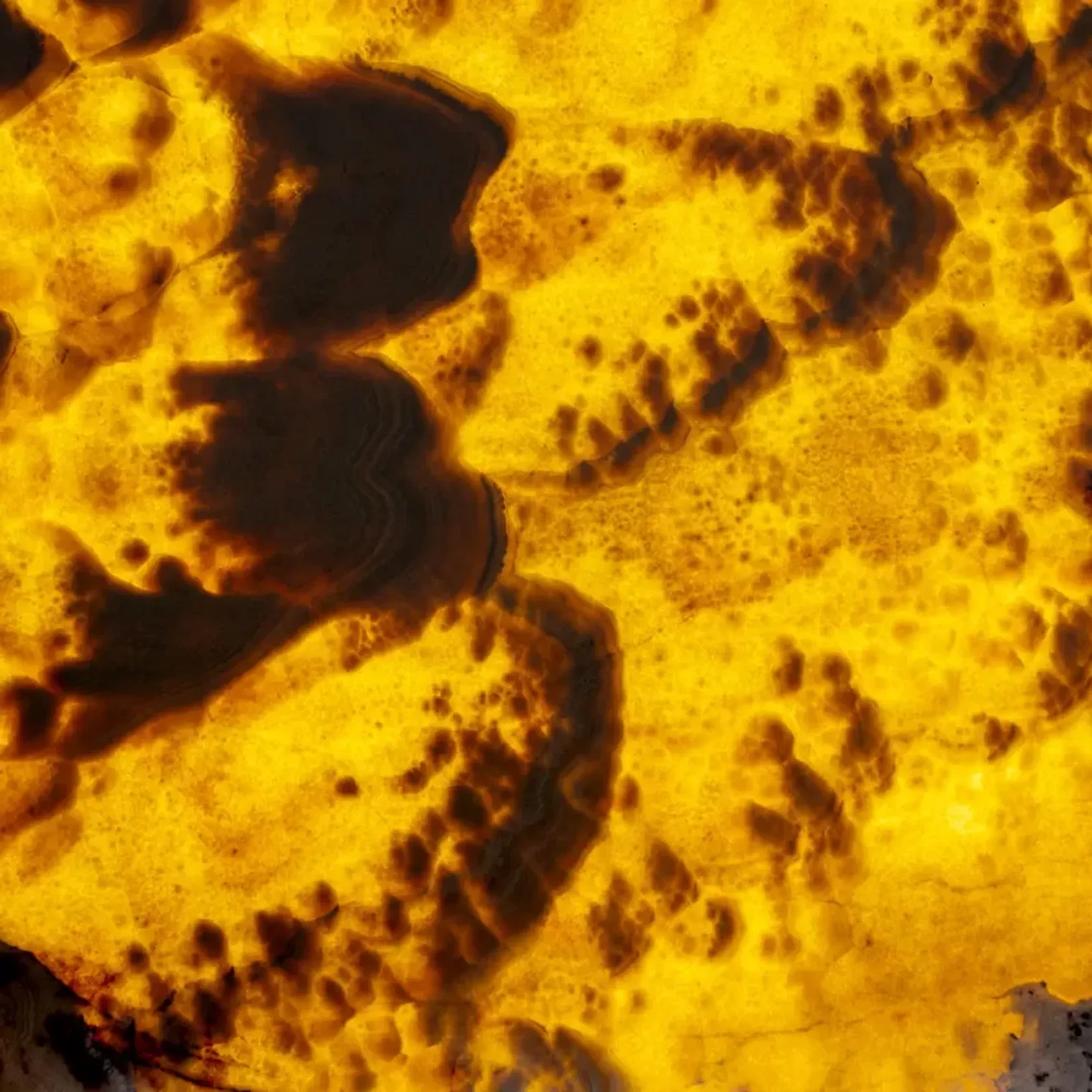 Bubble Onyx | Onyx Collection gallery detail image