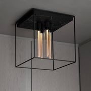 Caged Ceiling Light 4.0 gallery detail image