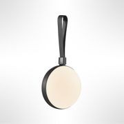 Bring-To-Go gallery detail image