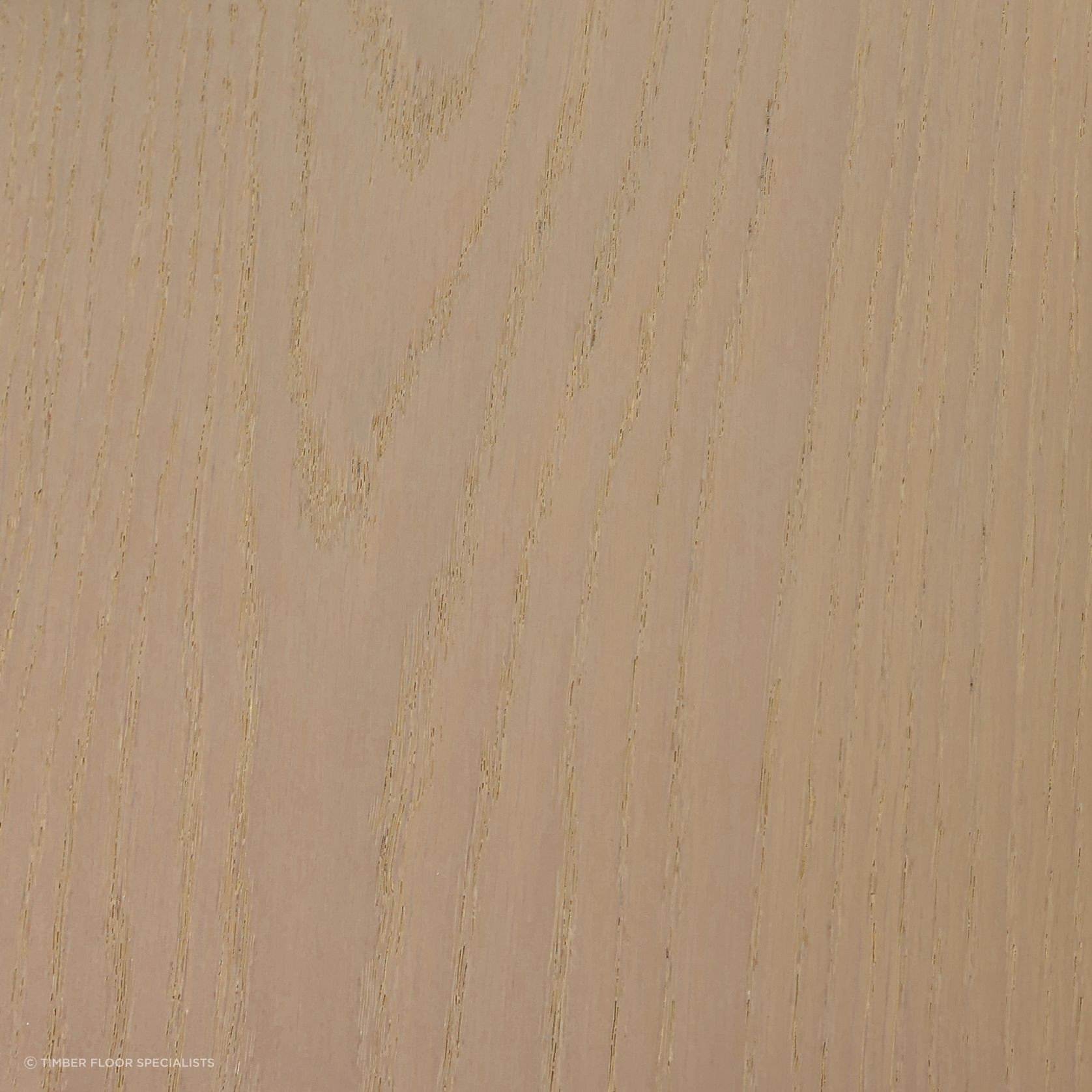 Crema gallery detail image
