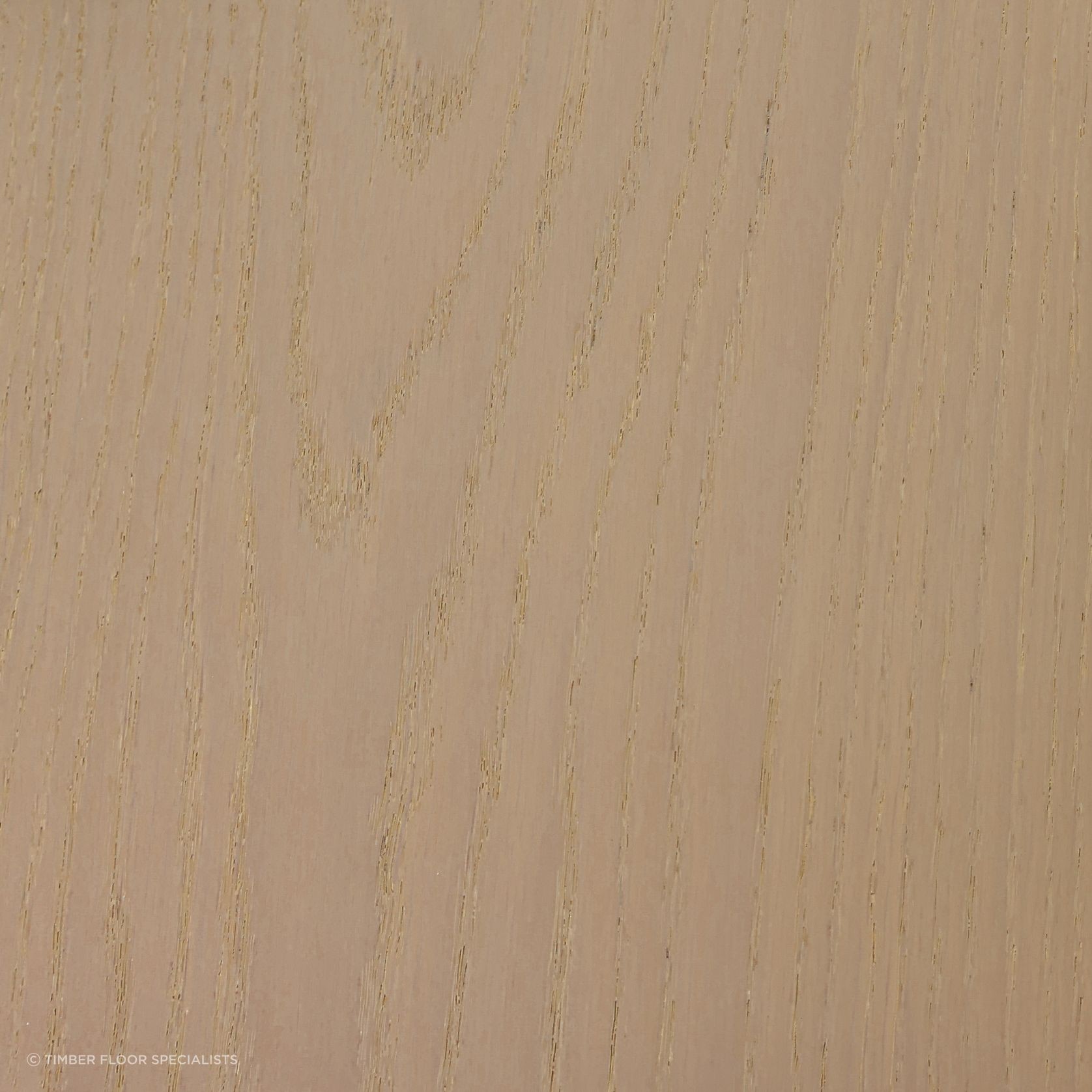 Crema gallery detail image