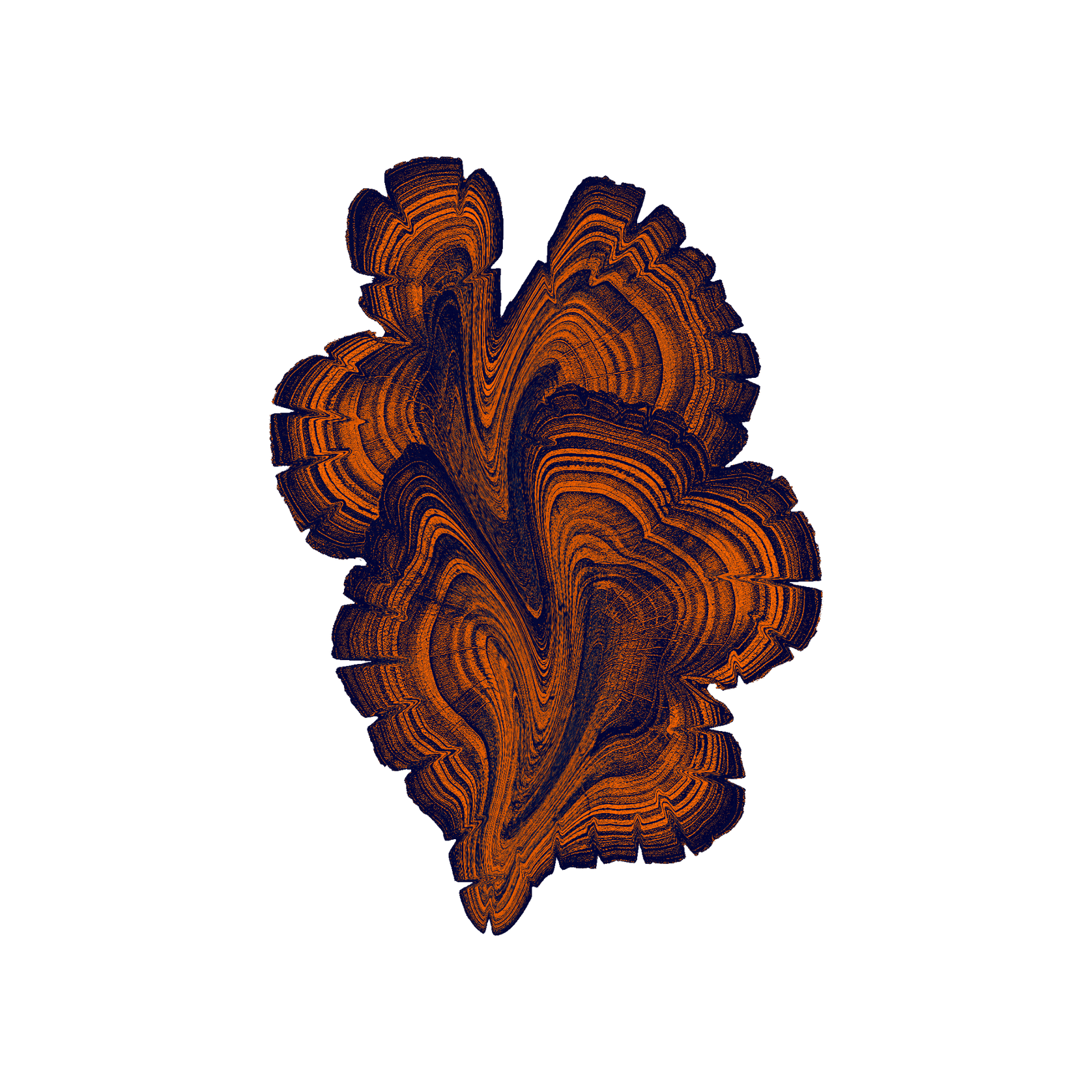 Forest Floor gallery detail image