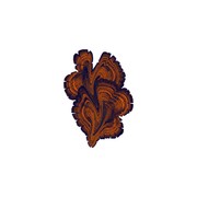 Forest Floor gallery detail image