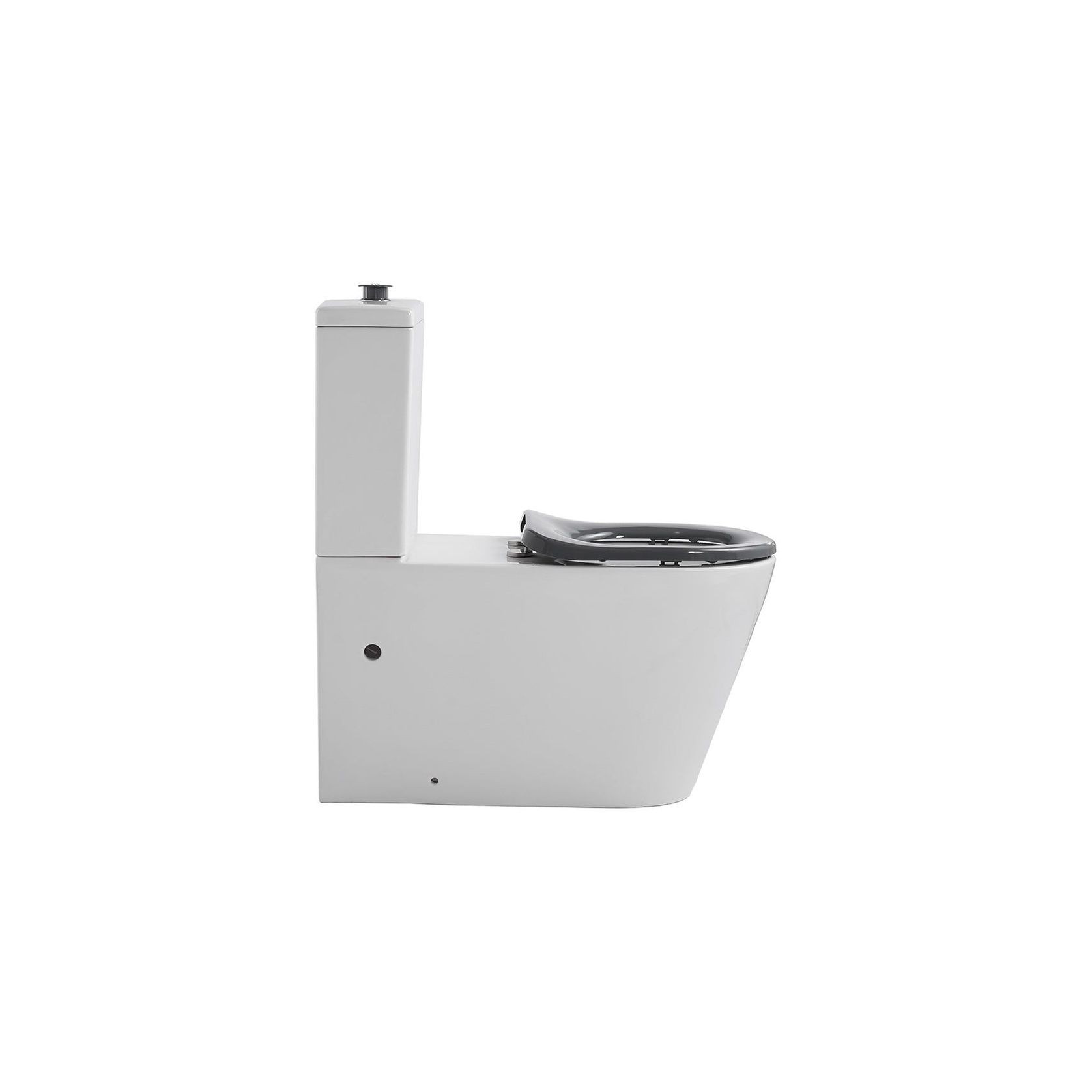 Ultra Access Back-to-Wall Rimless Flushing Accessible Toilet - Gloss White gallery detail image