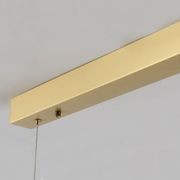 Alinea Pendant gallery detail image
