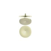 Opal 250mm Shower Head Brushed Gold gallery detail image