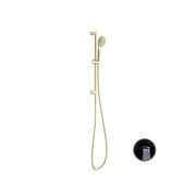 Opal Shower Rail With Air Shower Brushed Gold gallery detail image