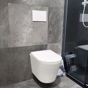 Code Pure Typhoon Wall Hung Toilet Suite X Matte White Button gallery detail image