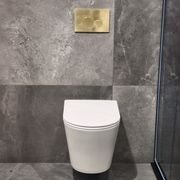 Code Pure Typhoon Wall Hung Toilet Suite | Brushed Brass Button gallery detail image