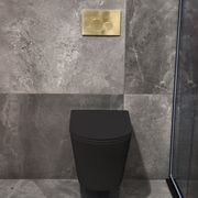 Code Pure Typhoon Wall Hung Toilet Suite | Brushed Brass Button gallery detail image