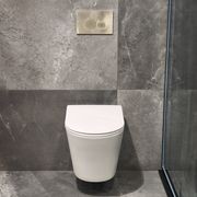 Code Pure Typhoon Wall Hung Toilet Suite X Brushed Nickel Button gallery detail image