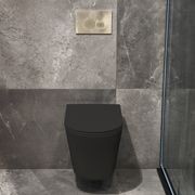 Code Pure Typhoon Wall Hung Toilet Suite X Brushed Nickel Button gallery detail image