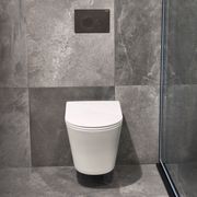 Code Pure Typhoon Wall Hung Toilet Suite X Gunmetal Button gallery detail image