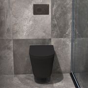 Code Pure Typhoon Wall Hung Toilet Suite X Gunmetal Button gallery detail image