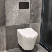 Code Pure Typhoon Wall Hung Toilet Suite X Gunmetal Button gallery detail image
