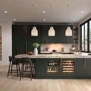 Designer Series Undercounter Beverage Center 61cm gallery detail image