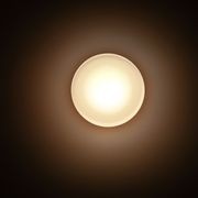 Flat White W1 | Wall Light by ADesignStudio gallery detail image