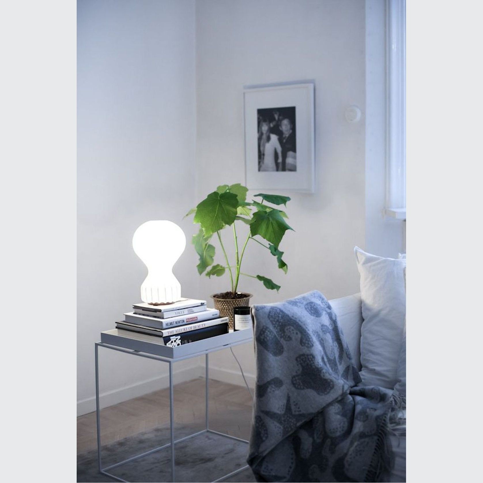 Gatto gallery detail image