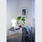 Gatto gallery detail image